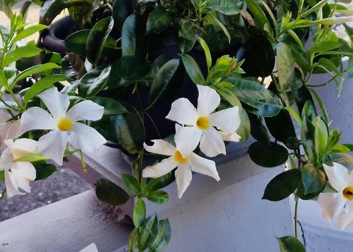 Guest house Pale' Bach Bad Hersfeld