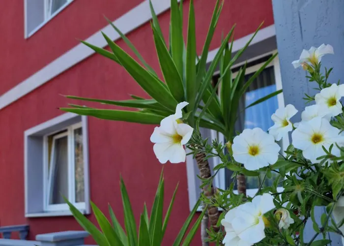 Guest house Pale' Bach *